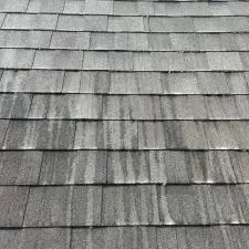 Commercial Building and Roof Cleaning in Queensbury, NY 5