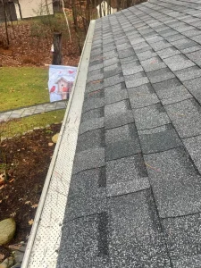 Gutter Cleaning with Gutter Guards!