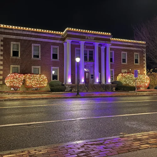 christmas-light-installation5