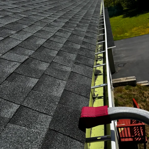 gutter-cleaning2