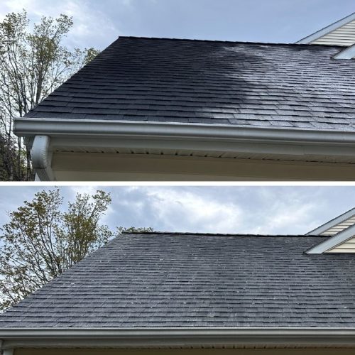 roof-cleaning-before-and-after (1)